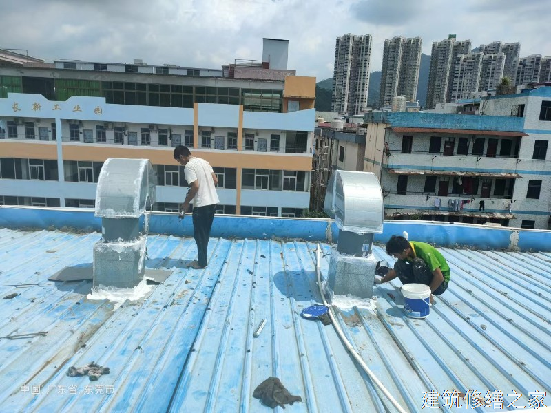 阜阳2026界首市 彩钢瓦屋面防水 价格是多少